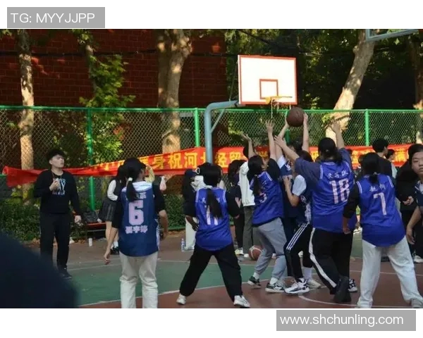 2013年北京与辽宁篮球对决回顾：激情碰撞与赛场传奇的交汇