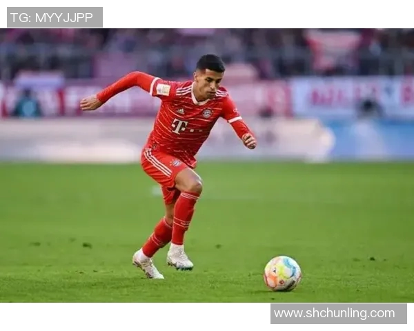 坎塞洛：从边缘球员到足坛明星的华丽转身与成长历程