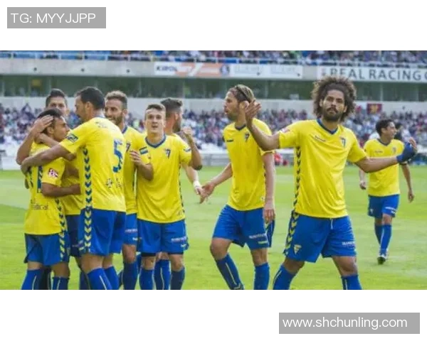 葡甲赛程全面解析关注球队动态与比赛结果提升观赛体验