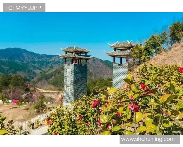 探索米亚内的魅力与文化深度之旅，感受独特风情与历史底蕴